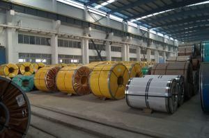 2b Finish SUS Stainless Steel Strips with CE SGS Dnv Certificate