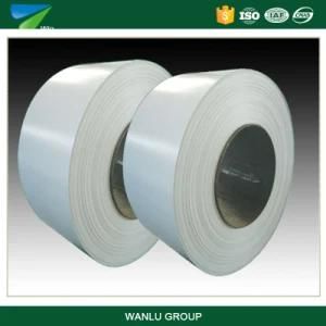Ral5015 Prepainted/Color Coated Galvanized Steel Coil