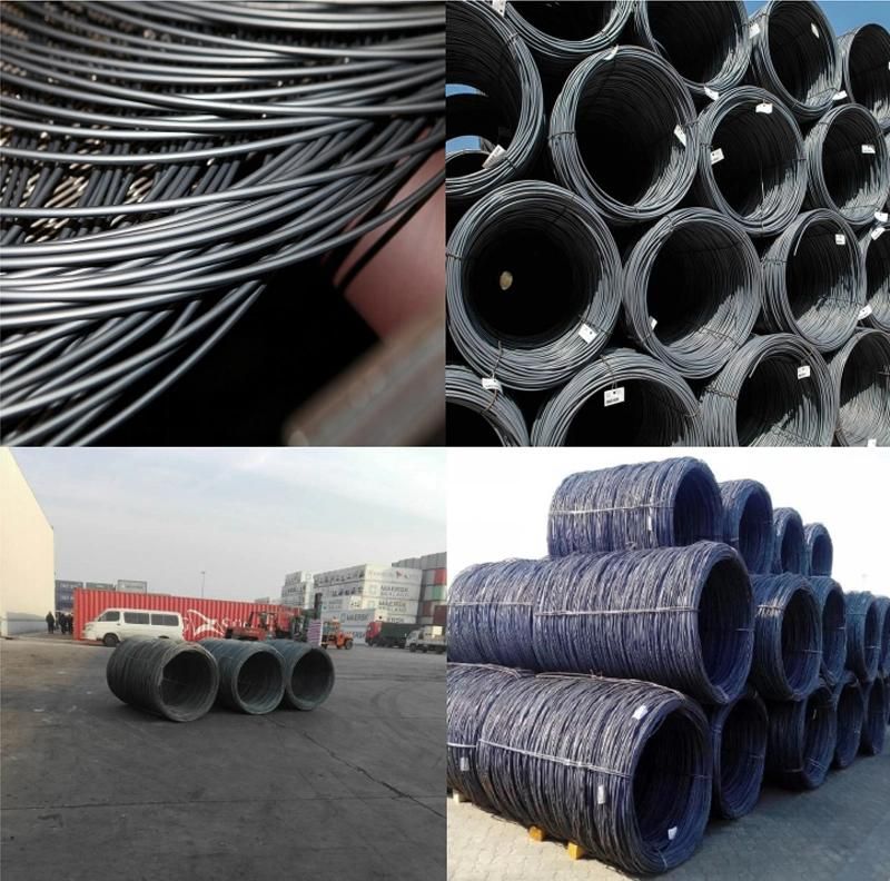 Best Quality Low Carbon Steel Wire with ISO Certificate