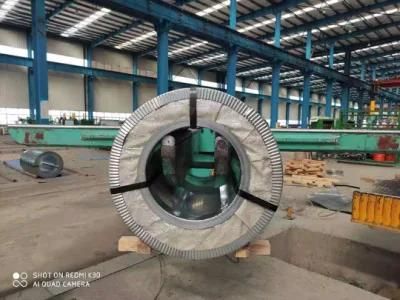 Factory Supply Electro Galvanized Steel Coil for Construction and Building Material