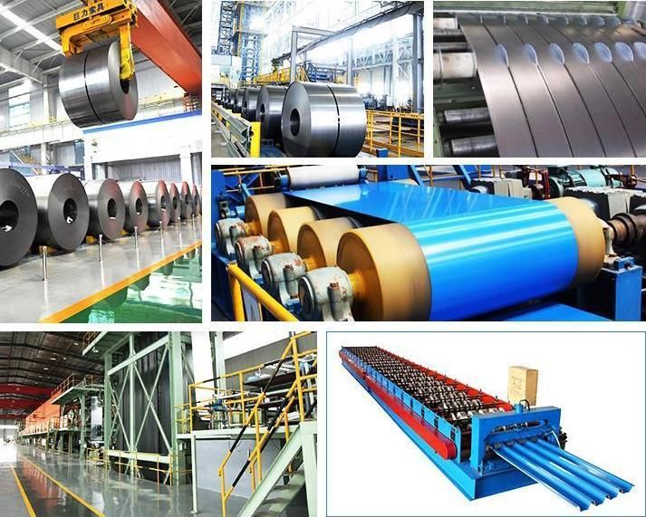 Factory Direct Sales Hot Sale Zinc Coated Galvanized Steel Coil Iron Steel Sheet Galvanized Coil