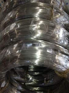 Stainless Steel Wire 431