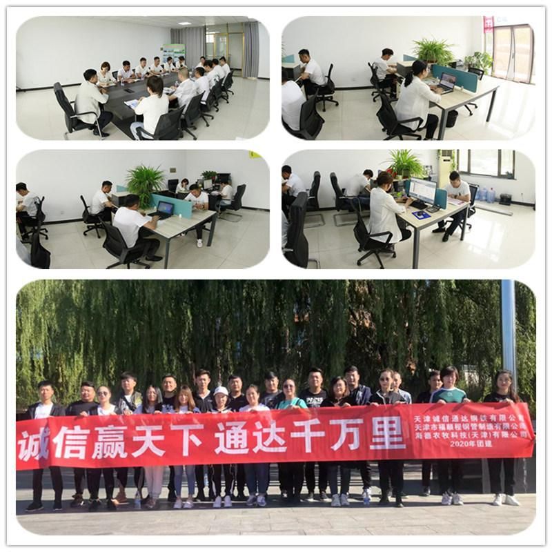 Hot Sale Factory Price Galvanized Steel Pipe Building Material Steel Pipes