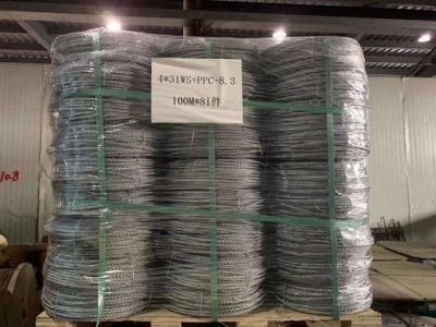 Hot DIP Galvanized Steel Wire Rope for Zlp Suspending Platform 4X26ws 8.3mm Gondola Rope