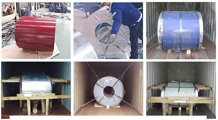 Construction Materials Prepainted Galvanized Steel Coill, PPGI/Gi Steel Sheets Coil/Strip