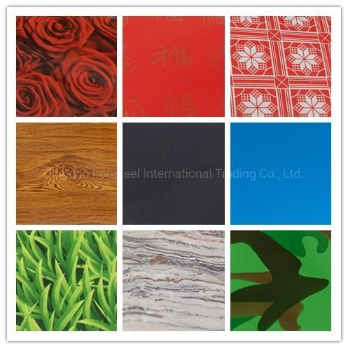 Ral Color Coated Galvanized Steel Coil PPGI Roofing Material