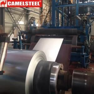 Hot Dipped Galvanized Steel Coil, Cold Rolled Steel Prices