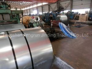 Professional Manufacture of Prepainted Galvanized Steel Coil (GI, PPGI, PPGL Steel)