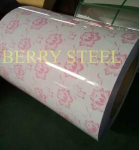 Color Coated Hdgi Steel in Plate/Steel Coil Prime Quality