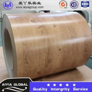 Prepainted Galvanized Steel Coil / Color Coated Galvanized Steel Sheet in Coils
