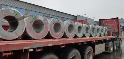 Cold Rolled Stainless Steel Coils/Strip with Competitive Price (202/EN1.4373, 305/EN1.4303, 430/EN1.4016)