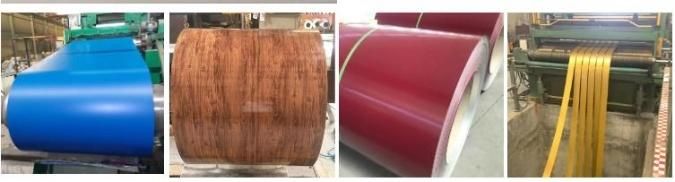 China Manufacturer Color Coated Galvanized Steel Coil