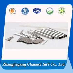 Needle Stainless Steel 0.3 mm