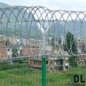 Hot Dipped Galvanized Razor Barbed Wire