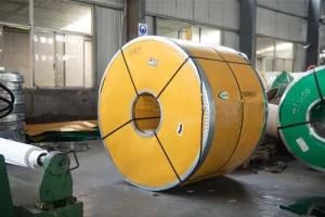 AISI 310S Cold/Hot Rolled Galvanized 2b/Ba Stainless Steel Coil for Chemical Industry