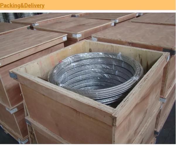 1/6SAE 1006 1008 1012 1015 10181 Steel Wire Rod