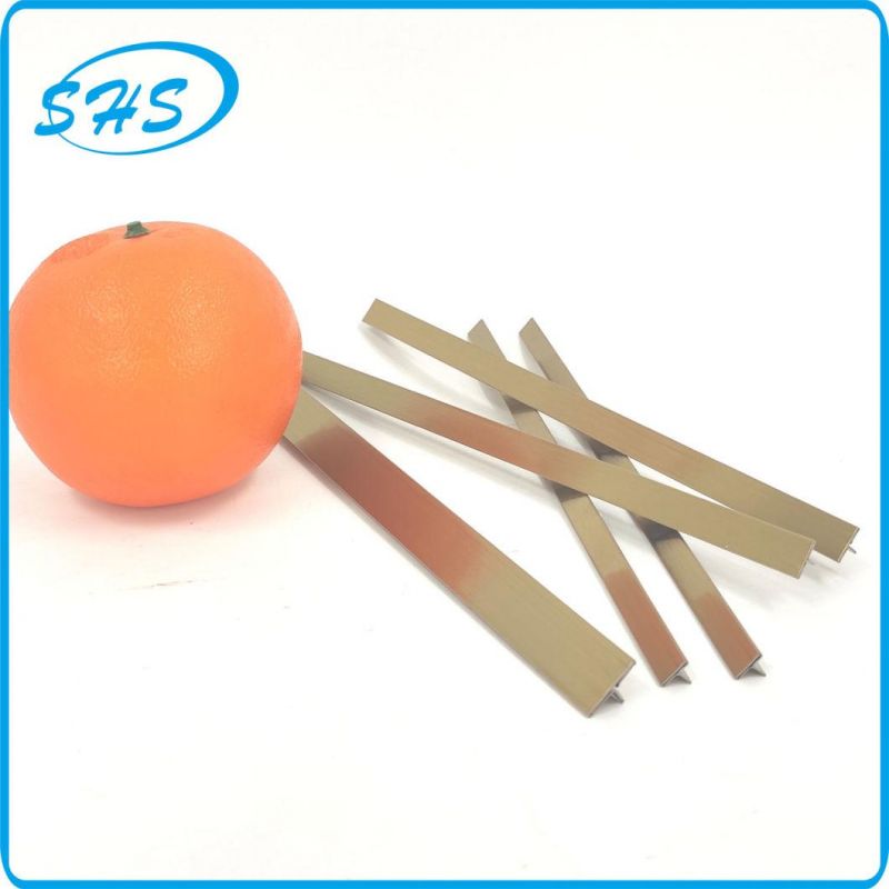 Stainless Steel T-Shape Trims as Accessories for Tile Corners and Wall Corners