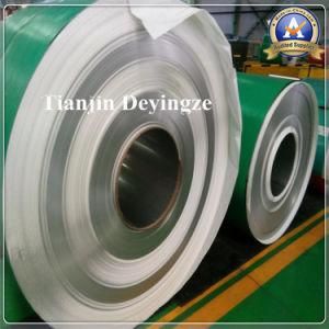 Hot Selling 304 Stainless Steel Coil