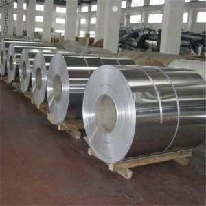 Hot DIP Galvanized Steel Coils for Roofing Plate