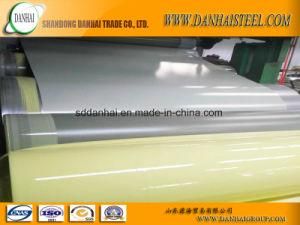 Preapinted Galvanized Steel Coil
