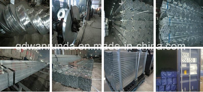 Square Pre Galvanized Steel Pipe and Steel Tube