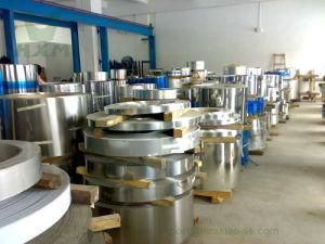 Stainless Steel Strips Suppliers 310 Fastener Parts