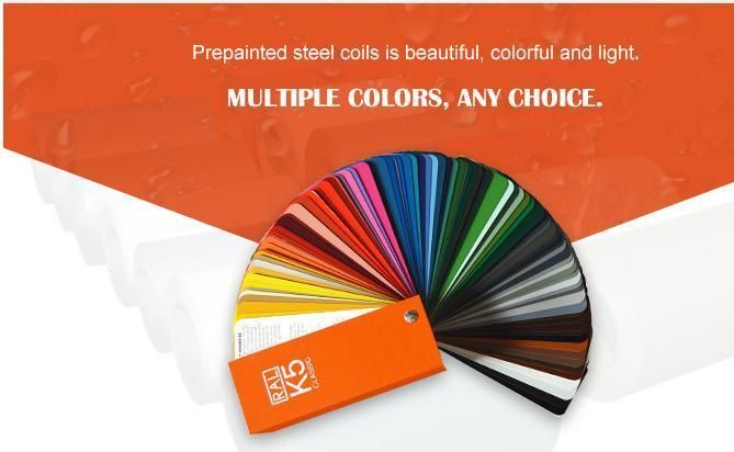 0.7mm 1220mm Dx51d Prepainted Color Coated Steel Coil PPGI PPGL Galvanized Steel Coil Ral9002 Prepainted Coil for Construction Industry