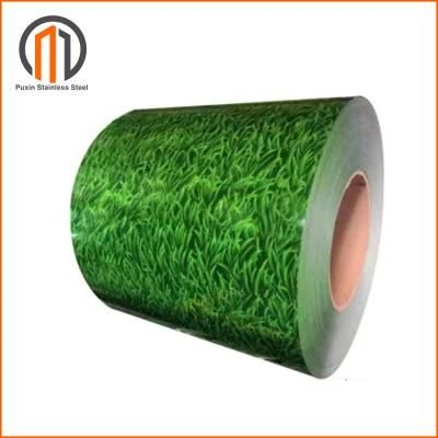 Double Coated Color Painted Metal Roll Paint Coating PPGI PPGL Steel Coil