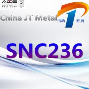Snc236 Alloy Steel Tube Sheet Bar, Best Price, Made in China