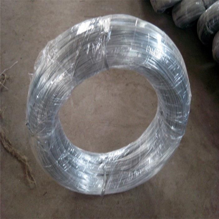 Factory Directly Supply Electrical Galvanized Steel Wire