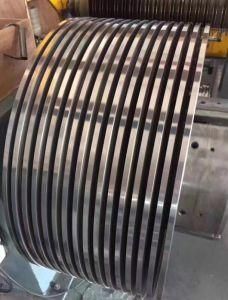 Stainless Steel Strip 316/316L