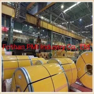 Super Corrosion Resistance/ High Performance Duplex 2205/2507 Stainless Steel Sheet/Plate/Coil for Industry