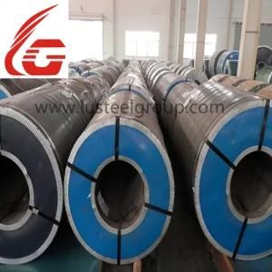 Hr Coil! ! ! Hot Rolled Coil &amp; Hot Rolled Steel Coil Price
