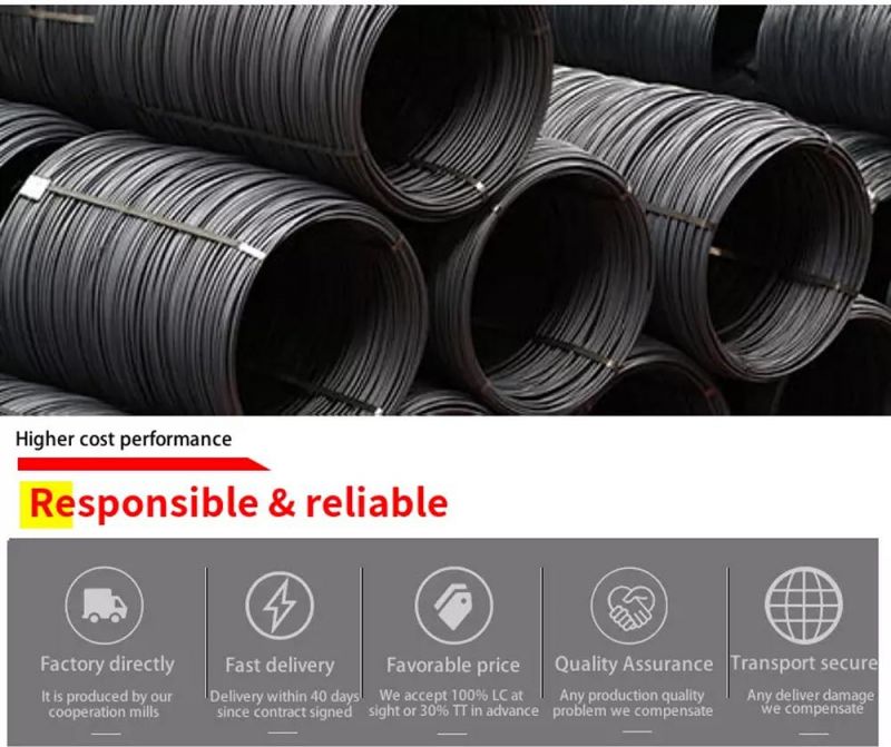 High Carbon Steel Wire/Spring Steel Wire/Galvanized Steel Wire/Stainless Steel Spring Wire /Steel Wire/PC Wire