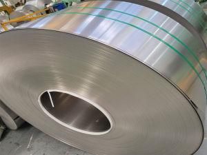 Stainless Steel Strip 0.01-3.0