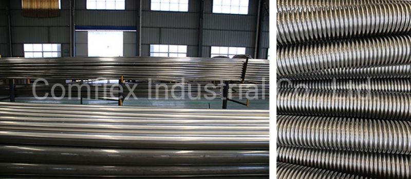 Proper Quality Stainless Steel Strip Especially for Metal Hose Production