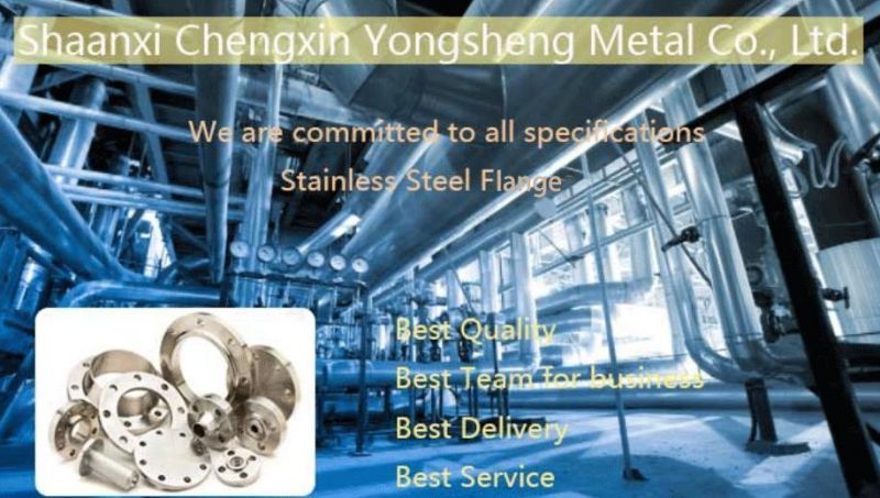 China Manufaturer Stainless Steel TP304 Flange ASTM A182 En 1092-1