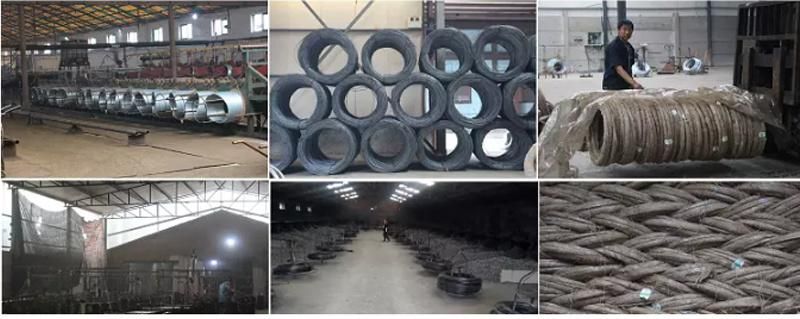 Factory Price Umbrella Frame Steel Wire (0.2mm-13mm)