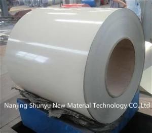 PPGI/PPGL/Galvanized/Galvalume/Steel Coil/Roofing Sheet
