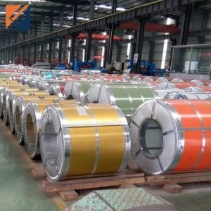 Roofing Sheet Ral Color Prepainted Galvanized PPGI Steel Coil for Building