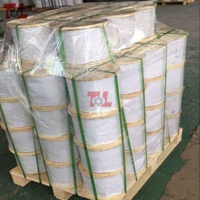 304 Stainless Steel Wire Rope
