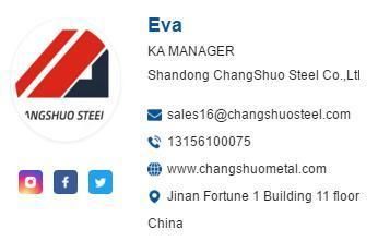 Larsen Steel Sheet Pile Hot Rolled Sheet Piling Changshuo Brand