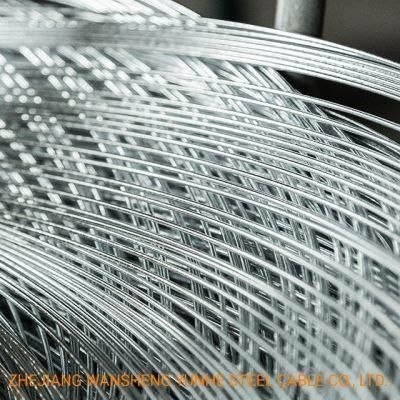 3.2mm Factory Price Hot Dipped Galvanized Steel Wire ASTM B498 Class A