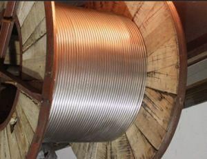 304 Stainless Steel Coiled Tubing Welded, 10mm Od, 1mm Wall Thickness