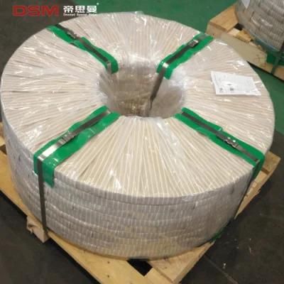 Blade Raw Material 6cr13 Stainless Steel Strip