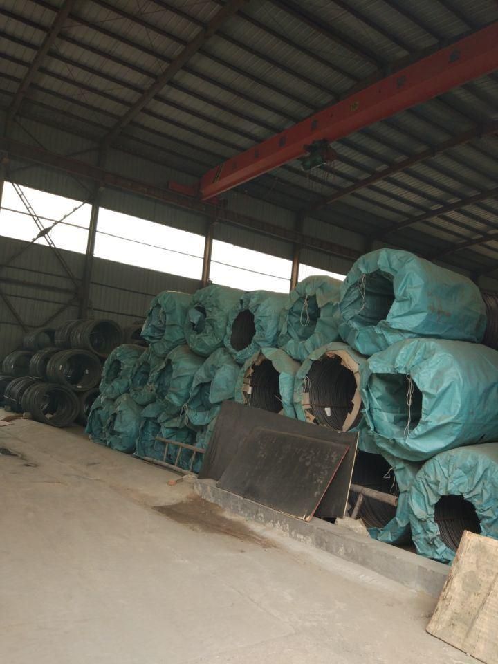 Nails Q195 SAE1008 Low Carbon Steel Wire Rods