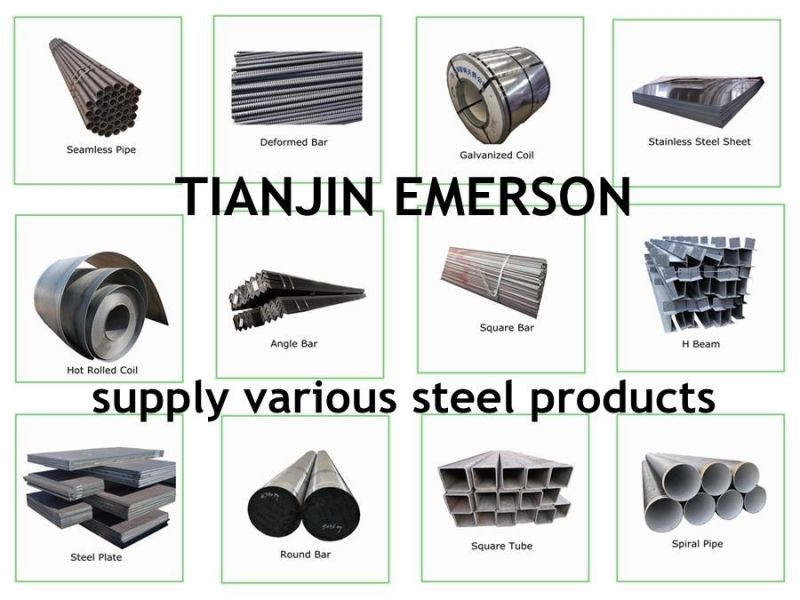 ASTM 1015 25mm Hot Rolled Forged Alloy Carbon Steel Round Bar