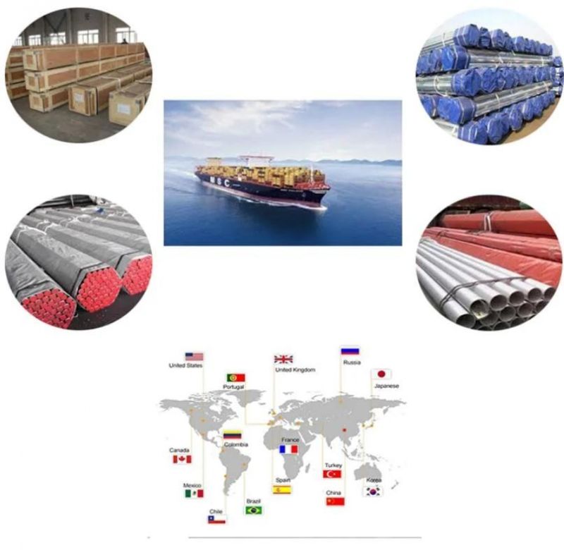 Best Seller Hot/ Cold Rolled AISI 201 202 Ss430 431 Carbon Steel Coil