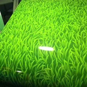Prepainted Galvanised Steel Z40 Z80 Z100 Z120 Z150 Z270 PPGI