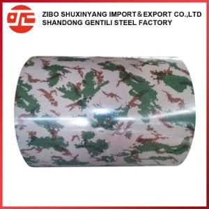 Prepainted Galvanized Steel Coil with Ral Number